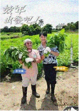 脱口秀节目封面